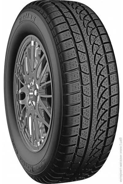   Petlas Snowmaster W651 205/50R17 93V 