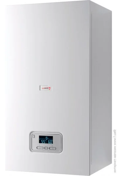   Protherm Ray () 28KE/14 380