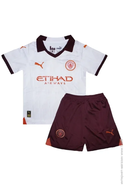  Puma      ѳ 2023-2024 Away (3437-119889)