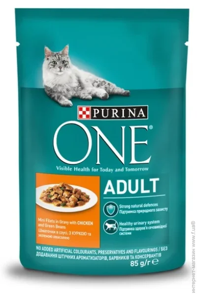   Purina ONE Adult      85 