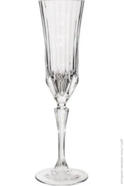    RCR ADAGIO 180  (25948020306)