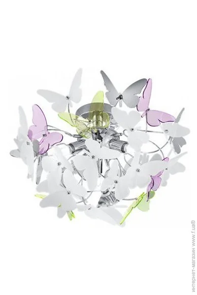  Reality Butterfly (R60213017)