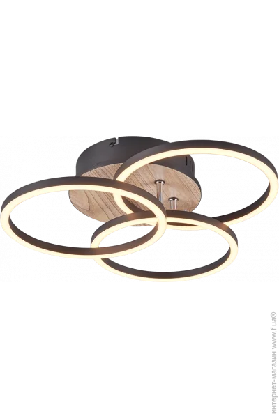  Reality Circle (R62823135)