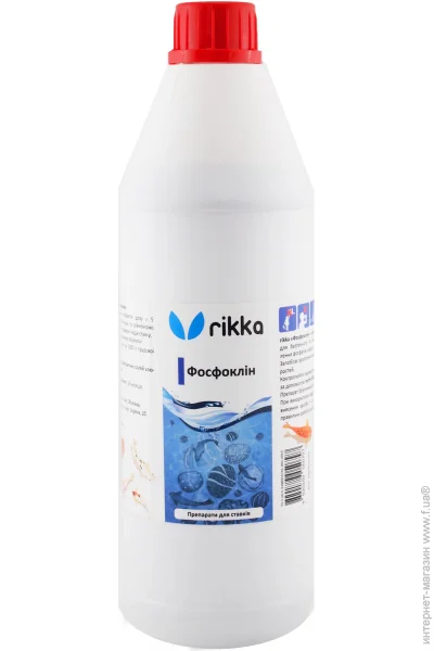       Rikka  1  (-103) (6522)
