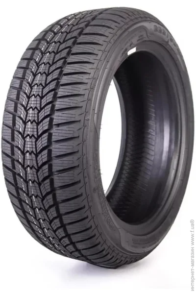   Sava Eskimo HP2 205/55R16 94H 