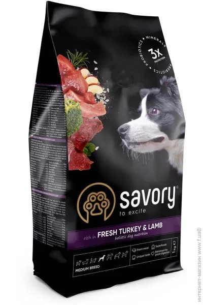   Savory              1  1 