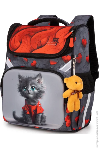   School Standard    ()     342614     (300-101)   ,   