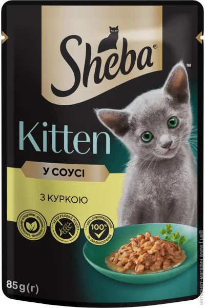  Sheba Kitten    85 