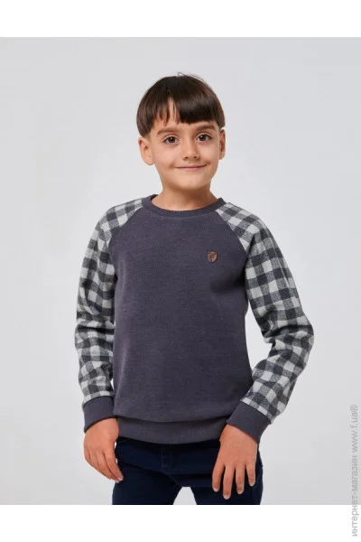     SMIL 116580 ѳ  . 134 (116580-seraa-kletka-34208)