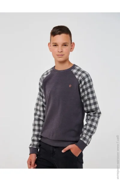    SMIL 116581 ѳ  . 122 (116581-seraa-kletka-50353)