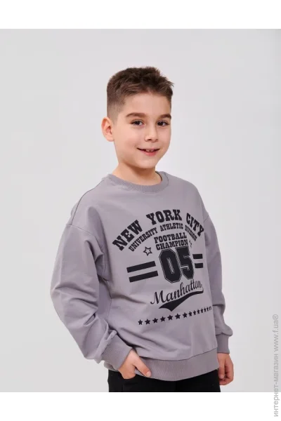    SMIL 116668 ѳ . 134 (116668-seryj-52151)
