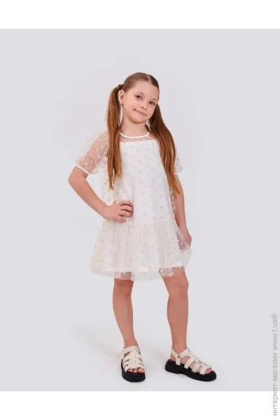     SMIL 120434  . 116 (120434-molocnyj-53828)
