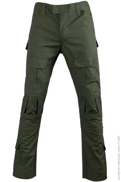 SY   Olive .L