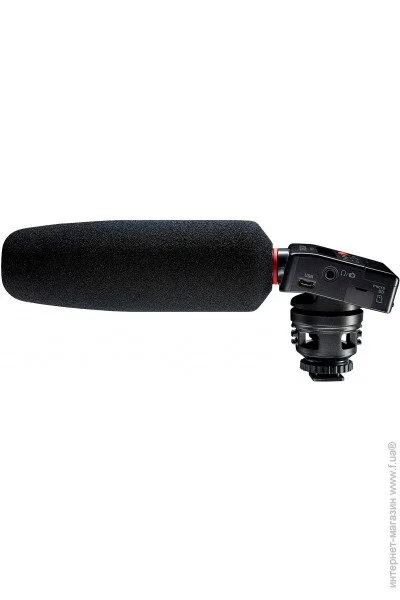  Tascam DR-10SG