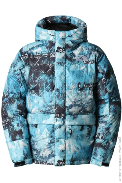  The North Face Himalayan Down Parka (NF0A5J1J9C1-M)