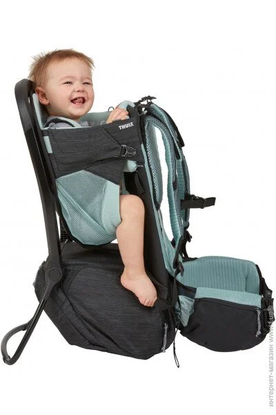  Thule Sapling Child Carrier TH3204538 Black