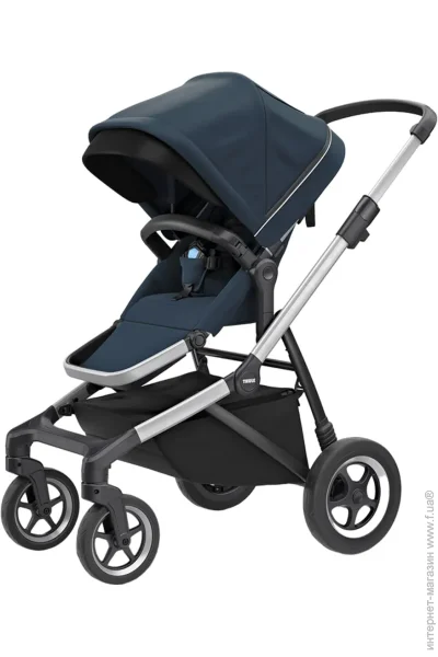   Thule   Thule Sleek Aluminum/Navy Blue (11000010)
