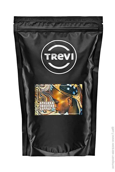 Trevi    500, 