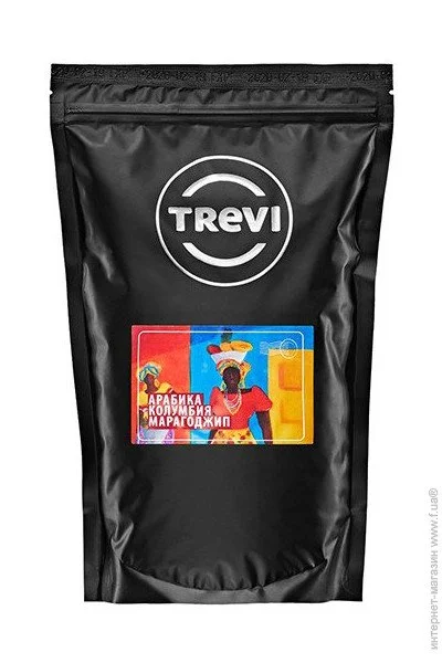    Trevi    500 