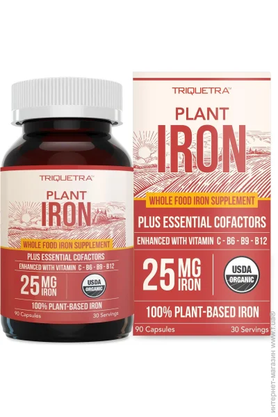  Triquetra    - Plant Iron 90  (4384307100)