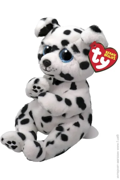 '  TY Beanie Bellies  Rowdy 25  (41502)