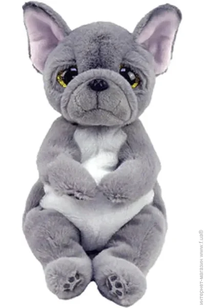   TY    WILFRED 25   43212