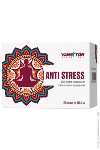   60  Vansiton (00000031169)