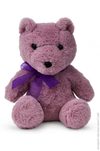 '  Wp Merchandise  ̳ Գ, 21  (FWPBEARMICHEL2300)