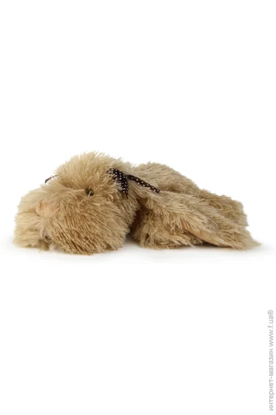 '  Wp Merchandise    36  (FWPDOGRONNIE23BN0)