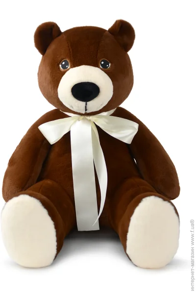   Wp Merchandise    49  (FWPBEARBARRY23BN0)