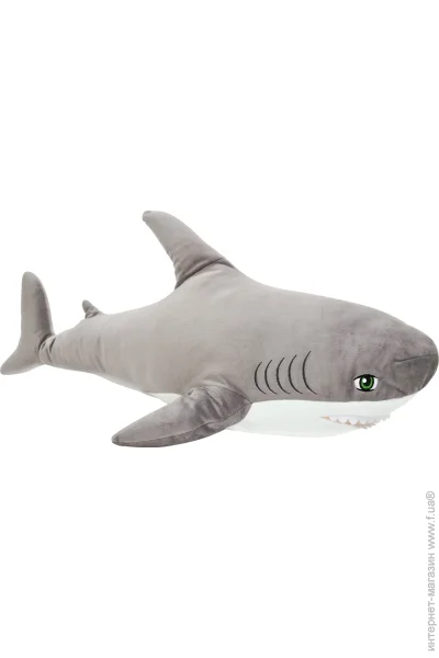 '  Wp Merchandise  - 80  (FWPTSHARK22GR0080)