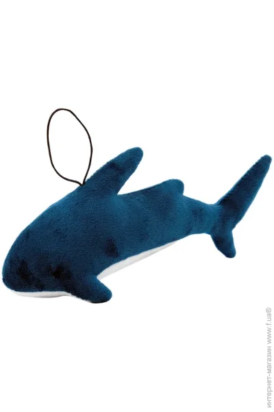 '  Wp Merchandise  ѳ  20,5  (FWPSHARKSIYA23TR0)
