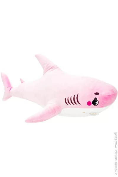 '  Wp Merchandise   80  (FWPTSHARK22PK0080)