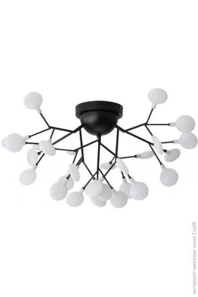  Wunderlicht MF3512-427B
