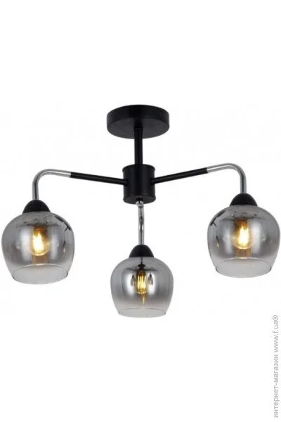  Wunderlicht OM8158-43