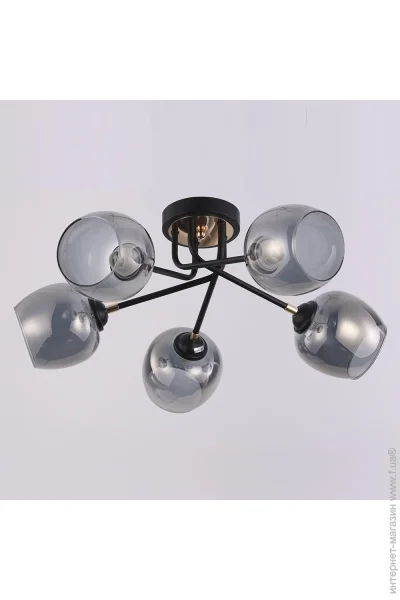 Wunderlicht   Verona 5x60  27  KK9057-45