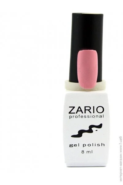 Zario Professional -    306   (4820440811068)