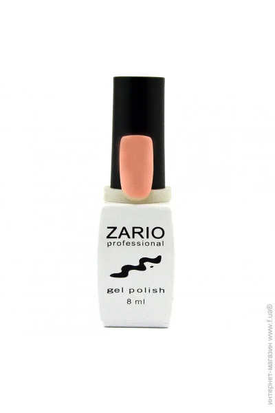 Zario Professional -    307   (4820440811075)