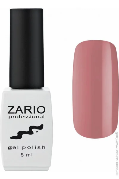 Zario Professional -    310   (4820440811105)