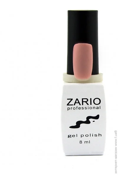 Zario Professional -    311 - (4820440811112)