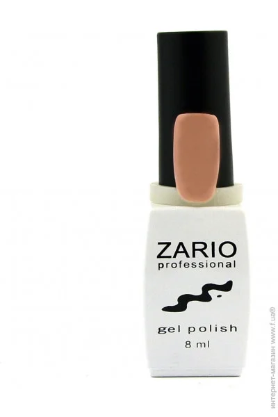 Zario Professional -    313 - (4820440811136)