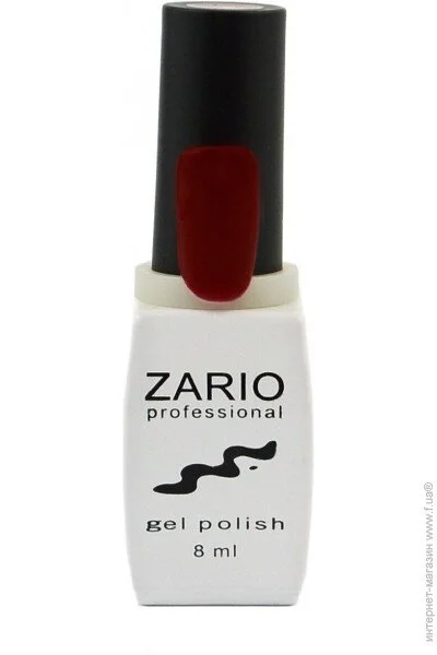 Zario Professional -    316   (4820440811167)