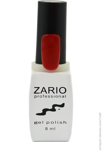 Zario Professional -    320 - (4820440811204)