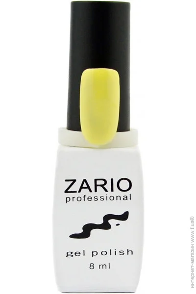 Zario Professional -    331   (4820440811310)