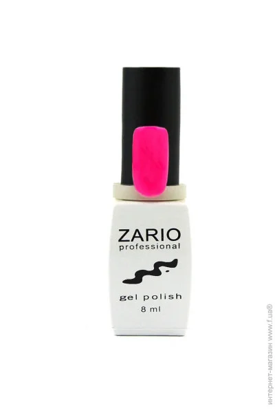 Zario Professional -    334   (4820440811341)