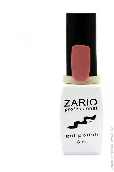 Zario Professional -    337   (4820440811372)