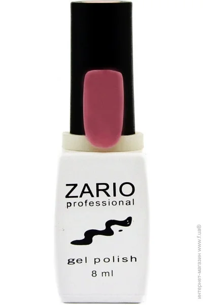 Zario Professional -    338   (4820440811389)