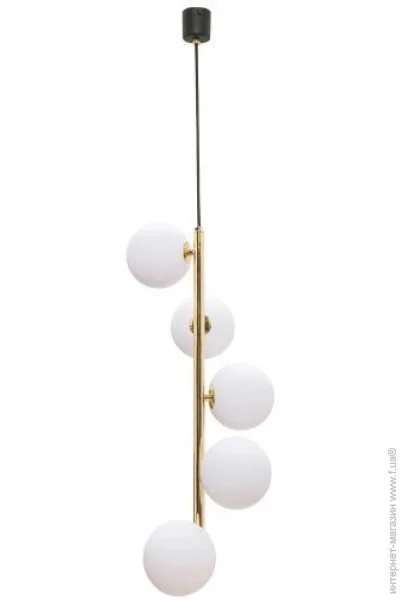  ALI 5648 Zuma Line