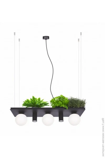  PLANT SHELF 5555 Zuma Line