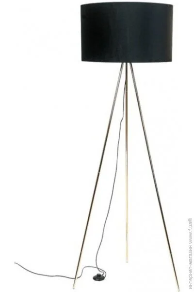  Zuma Line H06-GD-BK INGA